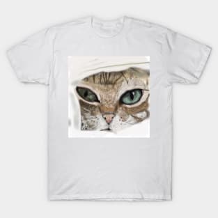 Kitten peaking through the bed cover T-Shirt